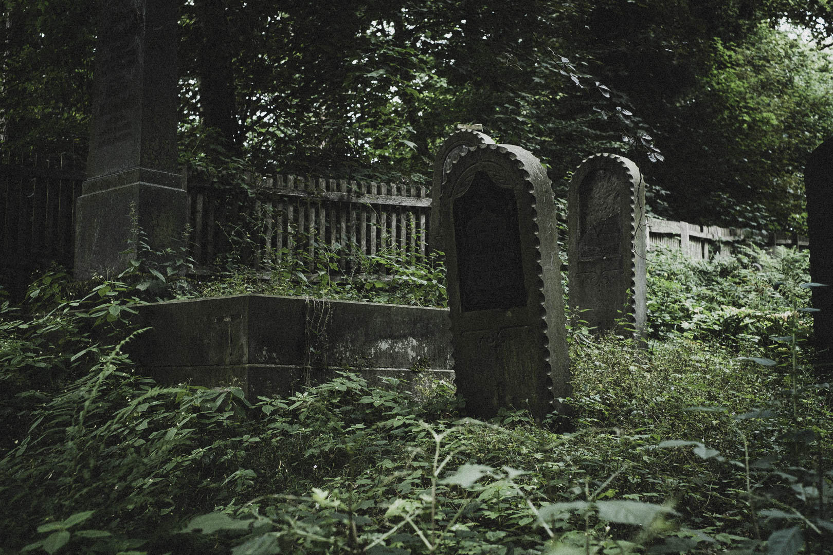 Obernkirchen, Jüdischer Friedhof